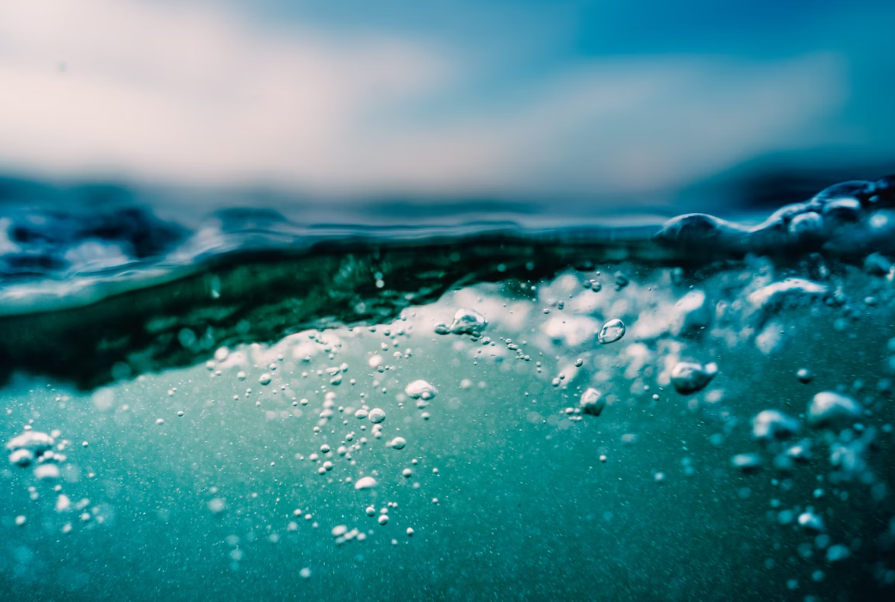 Neuroedukacja w pracy: koncentracja i szybkie uczenie – szkolenie